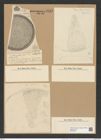 Coscinodiscus biangulatus A. Schm. (de-Toni-Nr.: Genus 202, Species 5035) Zeichnungen Sammlung Grunow Nr. 8763 (NHMW-BOT-W0378355)